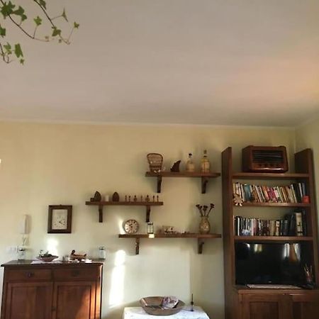 Il Mondo Magico - Immerso Nella Natura - Fauglia Exterior foto